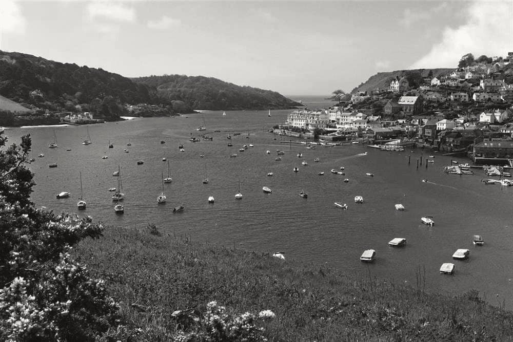 Boats moored in Salcombe harbour