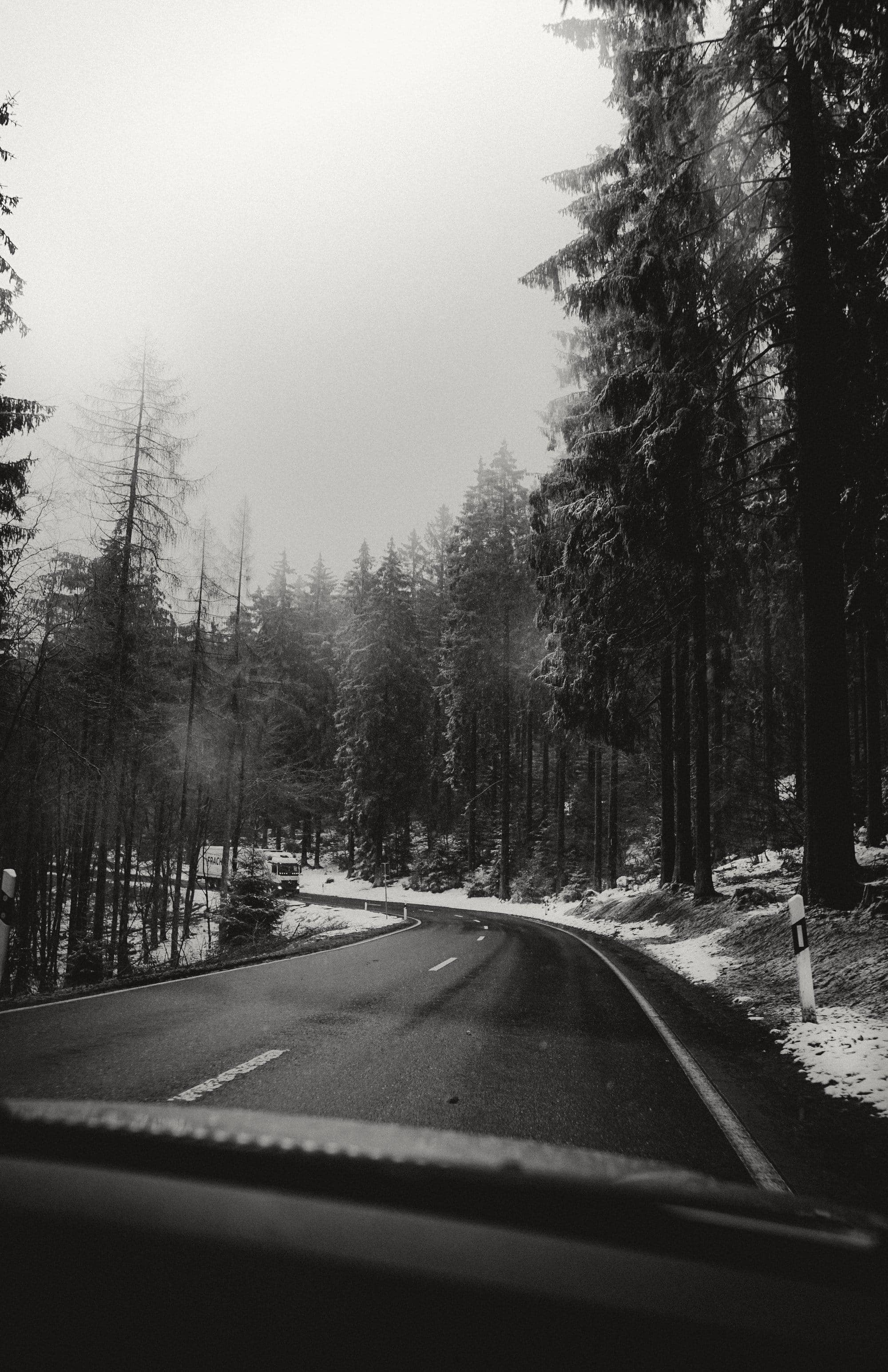 A road winding through a misty forest